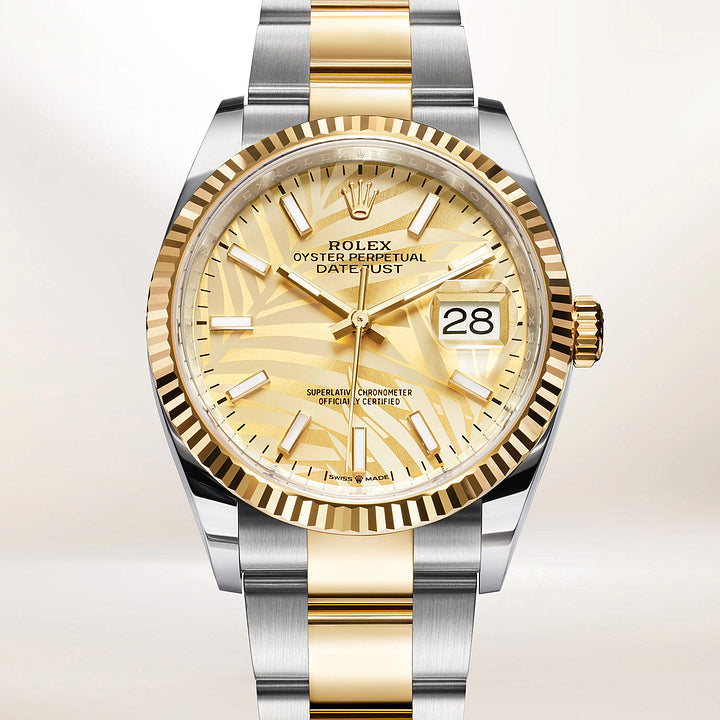 デイトジャスト 36 オイスター 36 mm オイスタースチール&イエローゴールド